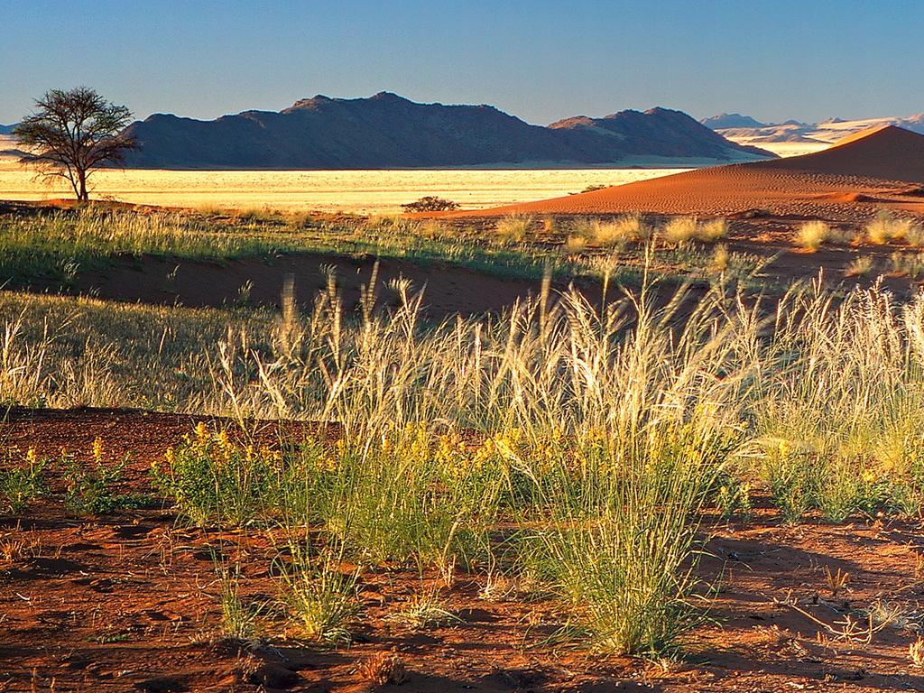 Gondwana Namib Desert Lodge Solitaire Exterior foto